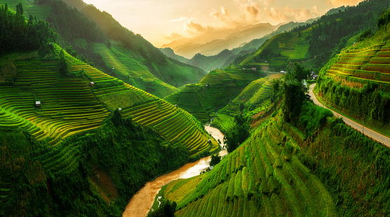 Vietnam_Image